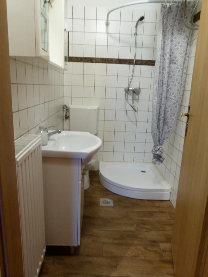 Apartment Soca Tolmin Dış mekan fotoğraf